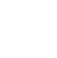 viserfly